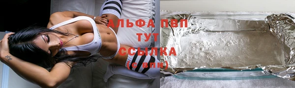 индика Арсеньев
