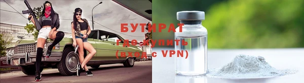 индика Арсеньев
