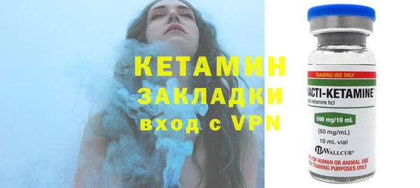 индика Арсеньев