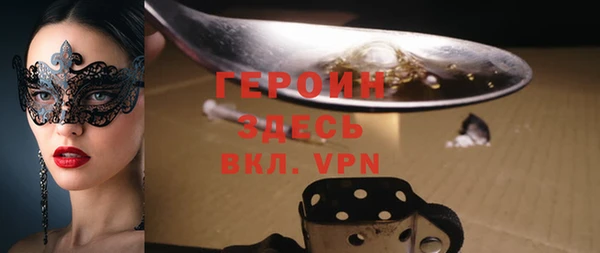 индика Арсеньев