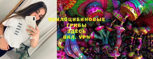 индика Арсеньев
