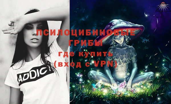 индика Арсеньев