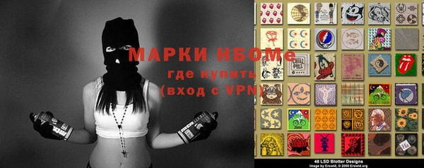 индика Арсеньев