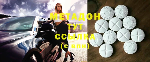индика Арсеньев