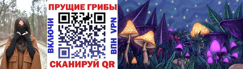 Купить где  Саянск  Псилоцибиновые грибы мухоморы 